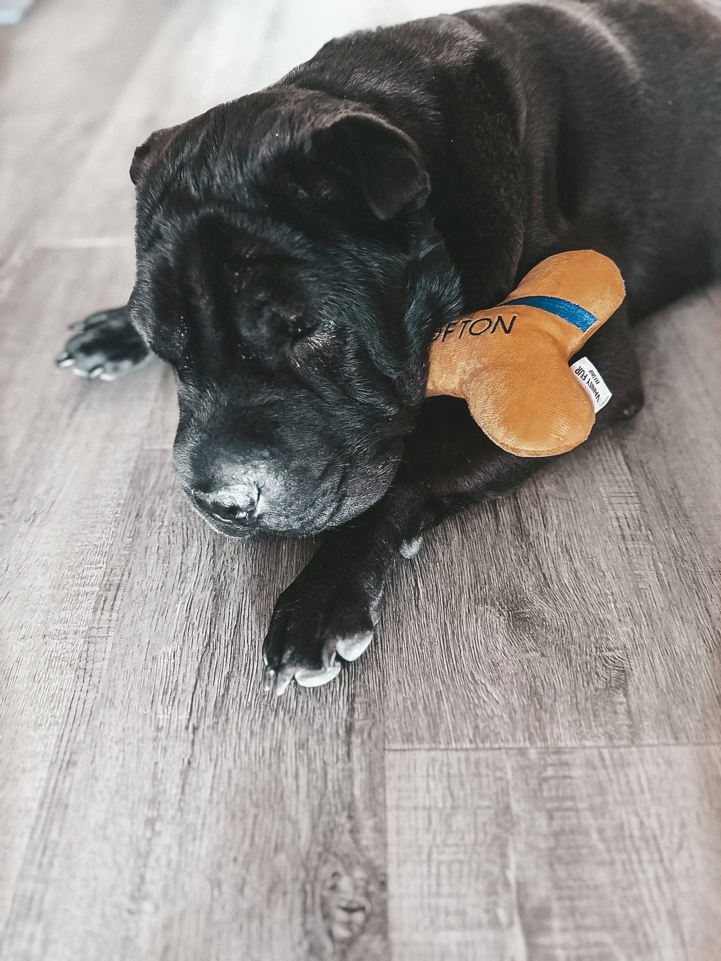 2-in-1 LOUIS WOOFTON ORANGE PACKAGING PLUSH BONE DOG TOY