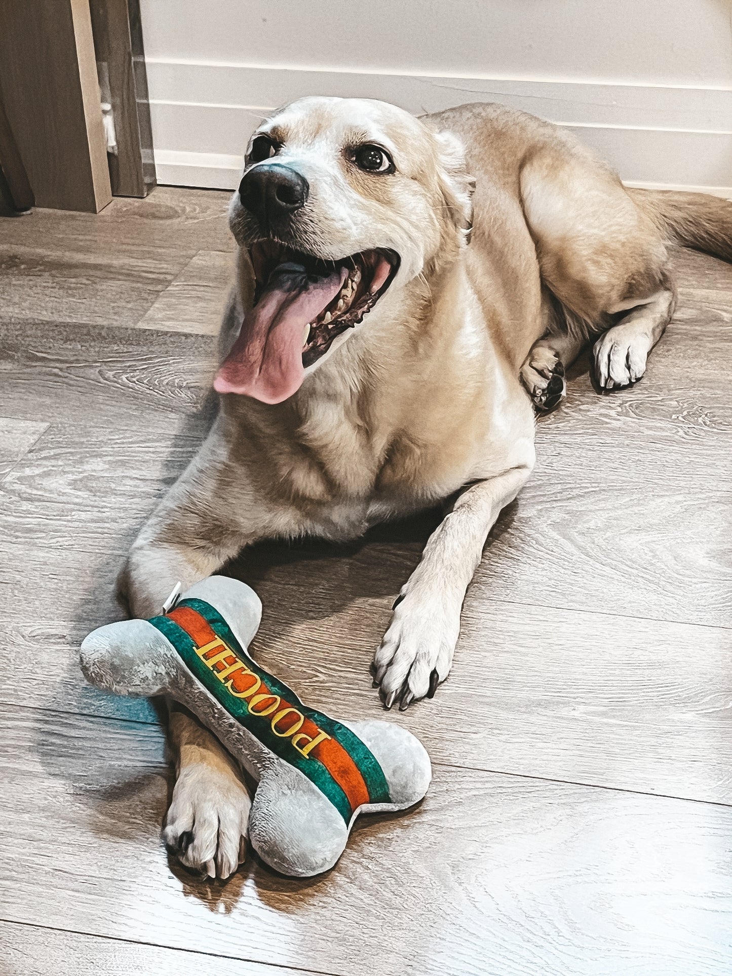 2-in-1 POOCHI GREY PLUSH BONE DOG TOY