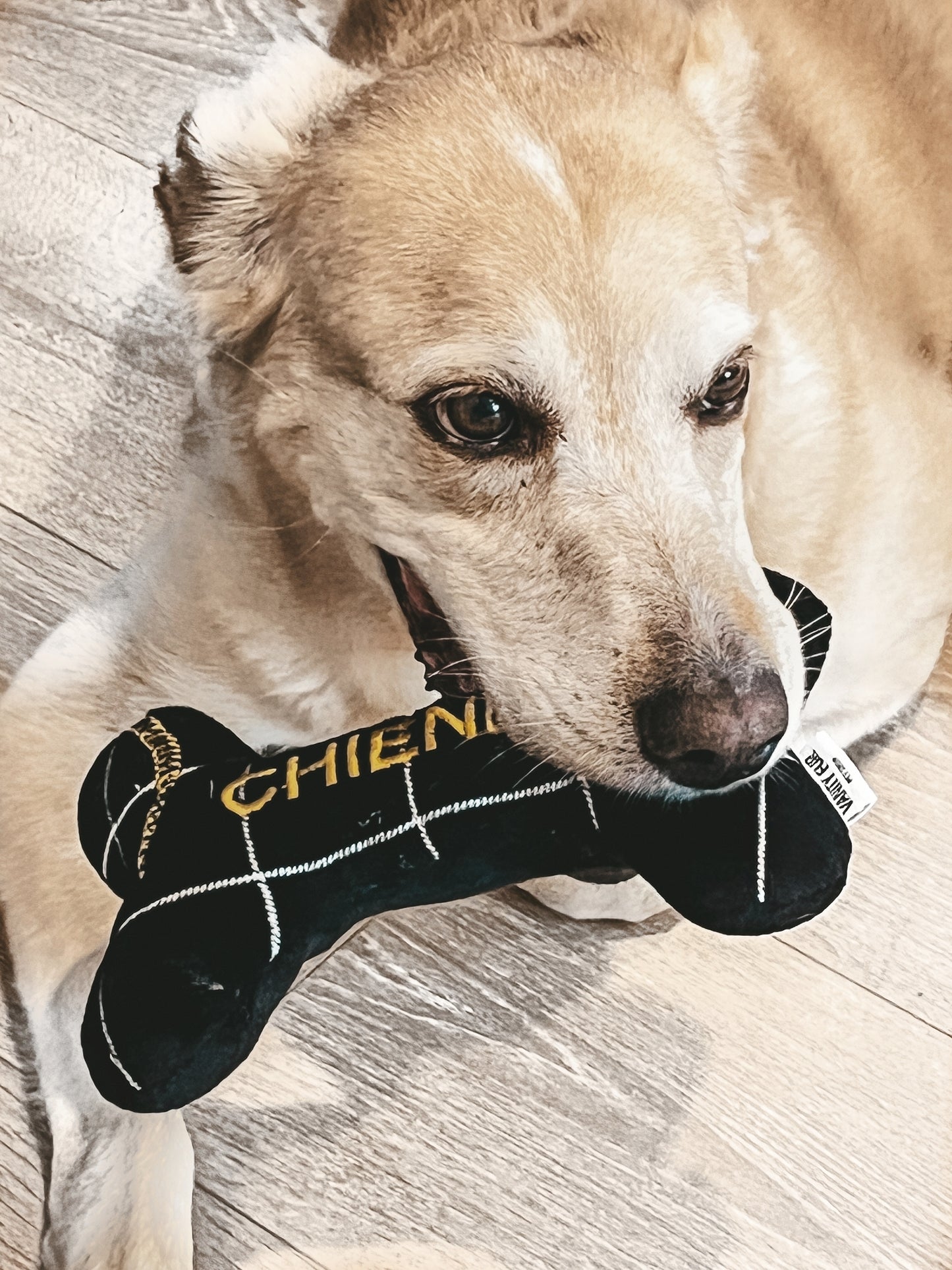 2-in-1 CHIENEL BLACK PLUSH BONE DOG TOY