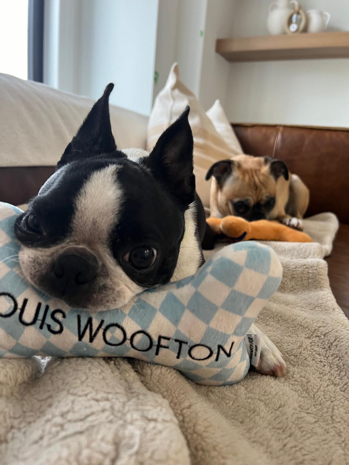 2-in-1 LOUIS WOOFTON BLUE CHECKERED PLUSH BONE DOG TOY